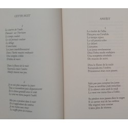 La color lenta de la pluèja - Maëlle Dupon - La couleur lente de la pluie - Maelle Dupon