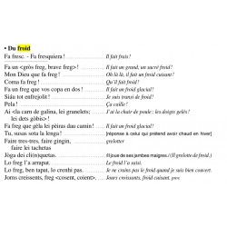 Comunicar en occitan provençau - Communiquer en occitan provençal - Pèire Brechet - Froid