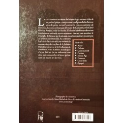 Flamenca et les novas à triangle amoureux : contestation et renouveau de la fin'amor - Dominique Luce-Dudemaine