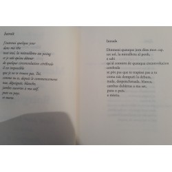 Messa pels pòrcs seguida de Roèrgue, si / Messe pour les cochons, suivie de Rouergue, si - Yves Rouquette