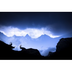 Mountain Dreams - Rêves de montagne - Léo Gayola