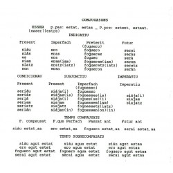 Los verbes conjugats en Alpin d'Oc - Peire Herisson