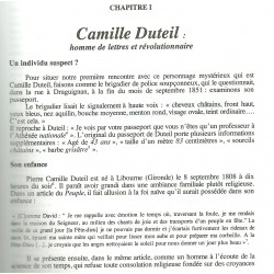 Camille Duteil ou les symboles de la démocratie - Stephen Chalk - Chapitre I (extrait)