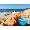 Patonet, l’ourson occitan à la plage