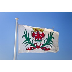 Nice flag - Country from Nice in blue sky