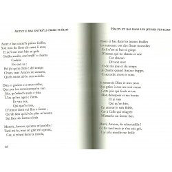 Fin'Amor et folie du verbe - Daniel Arnaut