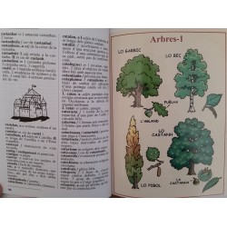 Tot en Òc, diccionari elementari ilustrat occitan - IEO - Extrait