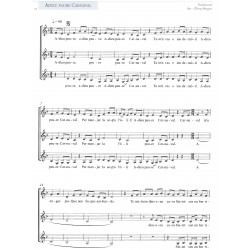 Canta Cantanha - La Talvera