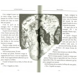 Dòna de pèira - La Dame de pierre - Yves Durand - Extract