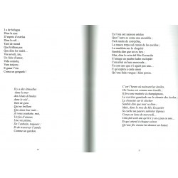 Quasèrn valdés - Miquèl Decòr - Estrach