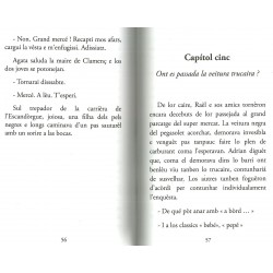 Bruèissa o Fadarèla ? Jaumet DEMÈSA