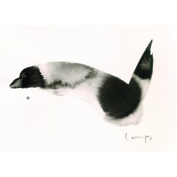 Lagune Archipel de Thau - Pierre ECH-ARDOUR - Extrait des illustrations