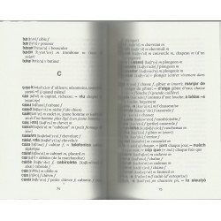 Dico de poche bilingue occitan/français – français/occitan - Patrick Sauzet