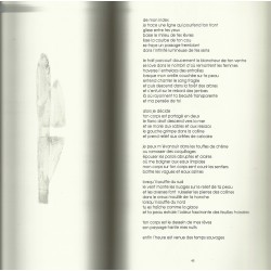 Le gris et le bleu - Jean-Noël Pelen