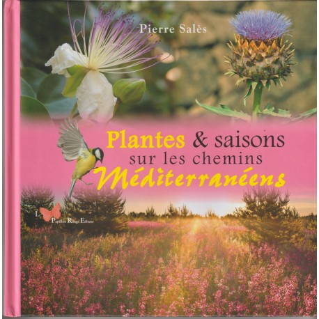 Plantes & saisons sur les chemins méditerranéens - Pierre Salès