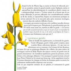 Plantes & saisons sur les chemins méditerranéens - Pierre Salès - Extract