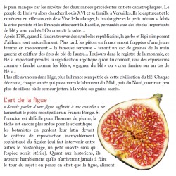 Plantes & saisons sur les chemins méditerranéens - Pierre Salès - Extract