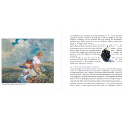 Plantes & saisons sur les chemins méditerranéens - Pierre Salès - Extract