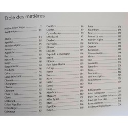 Dictionnaire vagabond d'un berger du Dévoluy - André Borel - Extrait