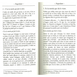 Negrelum - Miquèla Stenta - Extract