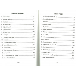 Lo paradis dei trins perduts - Le paradis des trains perdus - Claude JEAN - Table des matières