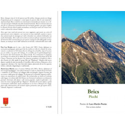 Brics - Picchi - Poesias de Luca Martin Poetto