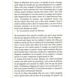 Puplado d'estello au founs dóu fiermanen - Pèire Pessemesse - Extrait