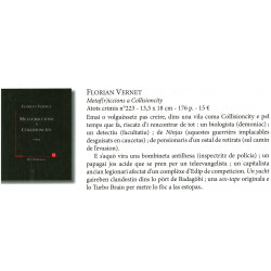 Metaf(r)iccions a Collisioncity - Florian VERNET - ATS 223 - Article Anem Occitans 171-172