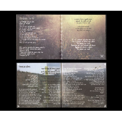 Pantais Clus, Rodín