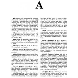 Dictionnaire gascon-français - Abbé Vincent FOIX