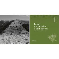 Les Alpes de lumière n°179 Savoureuse histoire des plantes en haute Provence - Des Simples à la filière Saveurs Senteurs