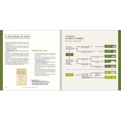 Les Alpes de lumière n°179 Savoureuse histoire des plantes en haute Provence - Des Simples à la filière Saveurs Senteurs