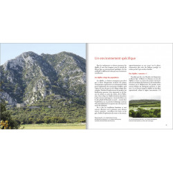 Les Alpes de lumière n°175 Les châteaux des Alpilles au Moyen Âge - Christine Portier-Martin - Estrach