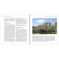 Les Alpes de lumière n°175 Les châteaux des Alpilles au Moyen Âge - Christine Portier-Martin - Extrait