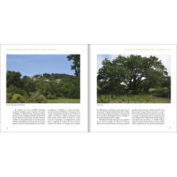 Les Alpes de lumière n°177 Occuper, nommer, diviser l’espace rural, L’exemple de Rasteau (Vaucluse) - Jean-Claude Leyraud