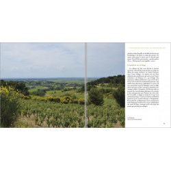 Les Alpes de lumière n°177 Occuper, nommer, diviser l’espace rural, L’exemple de Rasteau (Vaucluse) - Jean-Claude Leyraud