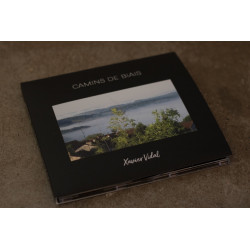 Camins de biais - Xavier Vidal