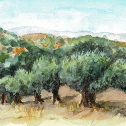 L'Oliu del giratòri, conte ecologic - Annick Jahan