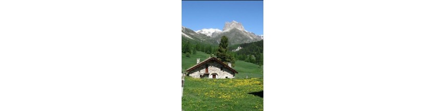Livres sur le patrimoine des Alpes et le Pays alpin